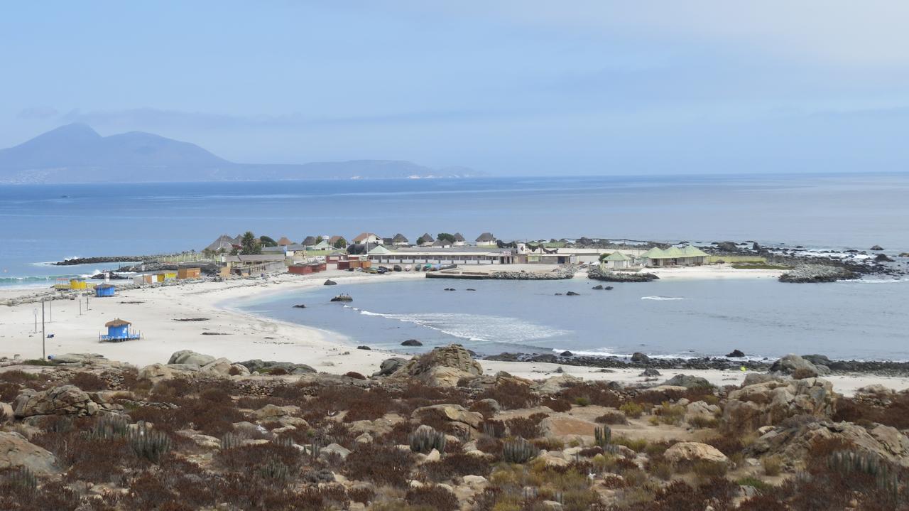 Cosmopolita Rojo Apartment La Serena Bagian luar foto