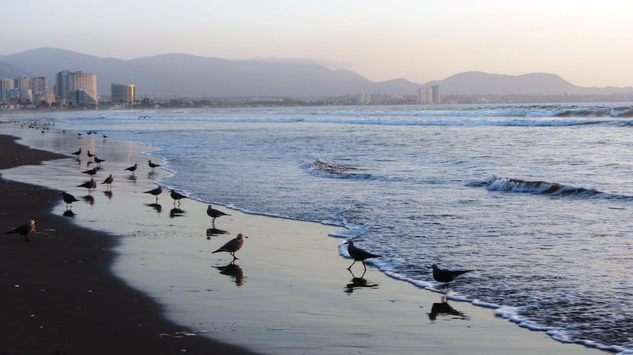 Cosmopolita Rojo Apartment La Serena Bagian luar foto